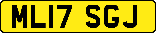 ML17SGJ