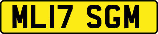 ML17SGM