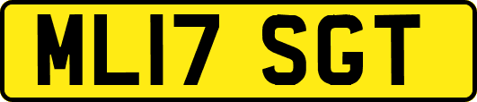 ML17SGT