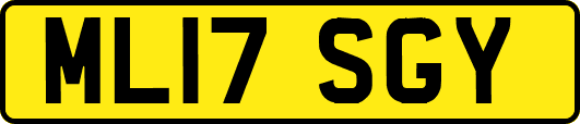 ML17SGY