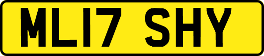 ML17SHY