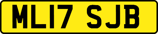 ML17SJB