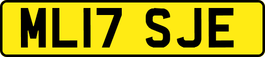 ML17SJE