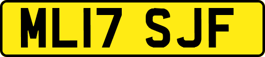 ML17SJF
