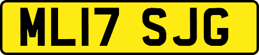 ML17SJG