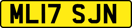 ML17SJN