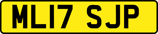 ML17SJP