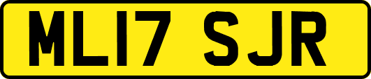 ML17SJR