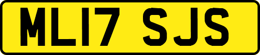 ML17SJS