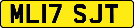ML17SJT