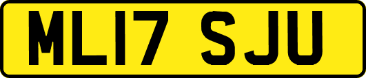 ML17SJU
