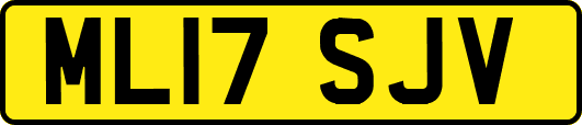 ML17SJV