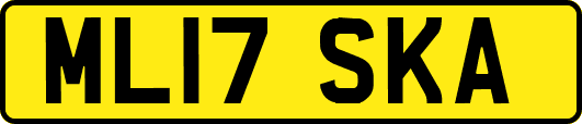 ML17SKA