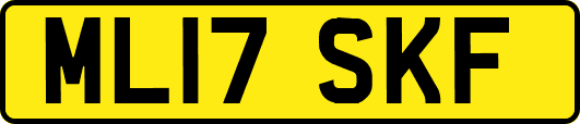 ML17SKF