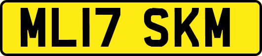 ML17SKM