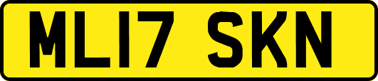 ML17SKN