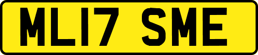 ML17SME