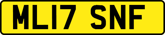 ML17SNF