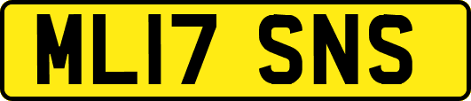 ML17SNS