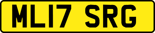 ML17SRG