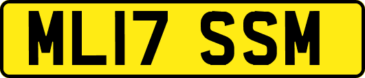 ML17SSM