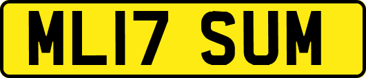 ML17SUM