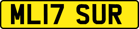 ML17SUR