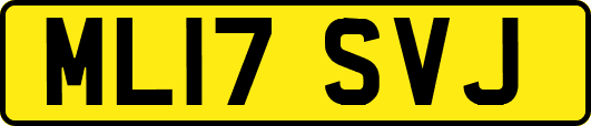 ML17SVJ