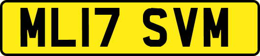 ML17SVM