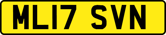 ML17SVN