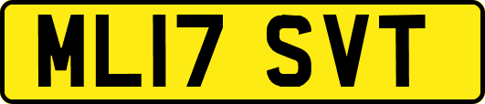 ML17SVT