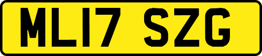 ML17SZG