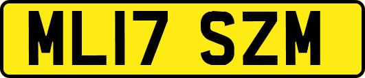 ML17SZM