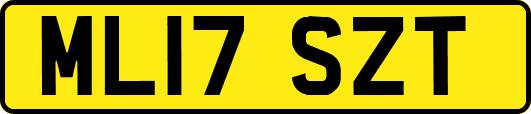 ML17SZT