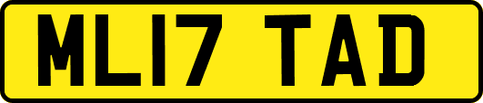 ML17TAD
