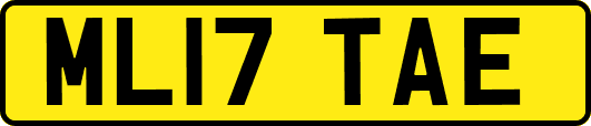 ML17TAE