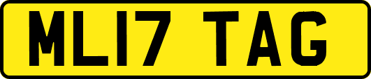 ML17TAG