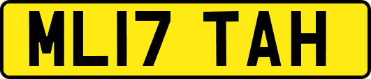 ML17TAH