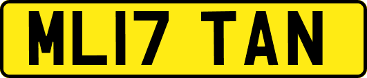 ML17TAN
