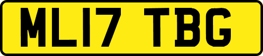 ML17TBG