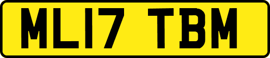 ML17TBM
