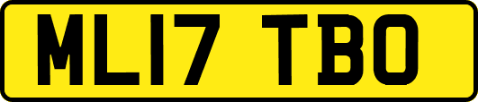 ML17TBO