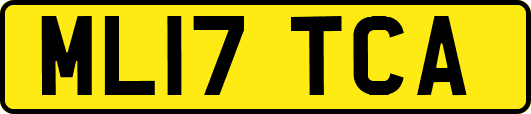 ML17TCA