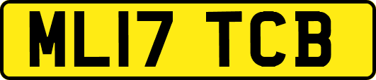 ML17TCB