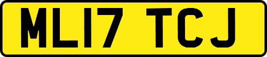 ML17TCJ