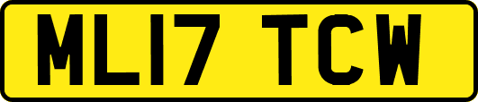 ML17TCW