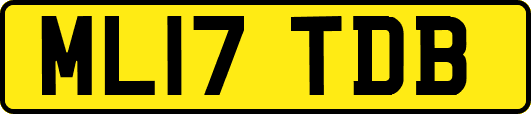 ML17TDB