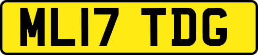 ML17TDG