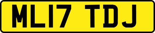ML17TDJ