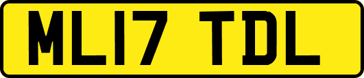 ML17TDL